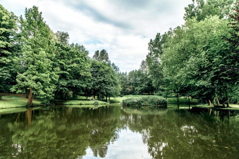 Alentours de la cabane de poupette à Bruxelles