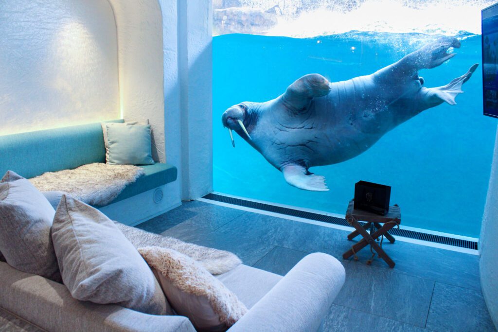 Pairi Daiza Resort Pourquoi on a adoré (2024) Hôtel 4* près de Mons