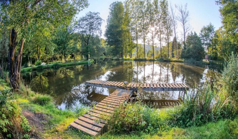 Étangs à proximité de la Bulle Rêve d'Eau près de Charleroi