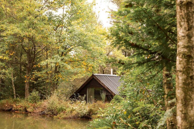 Été au Chalet des Ronces près de Vielsam