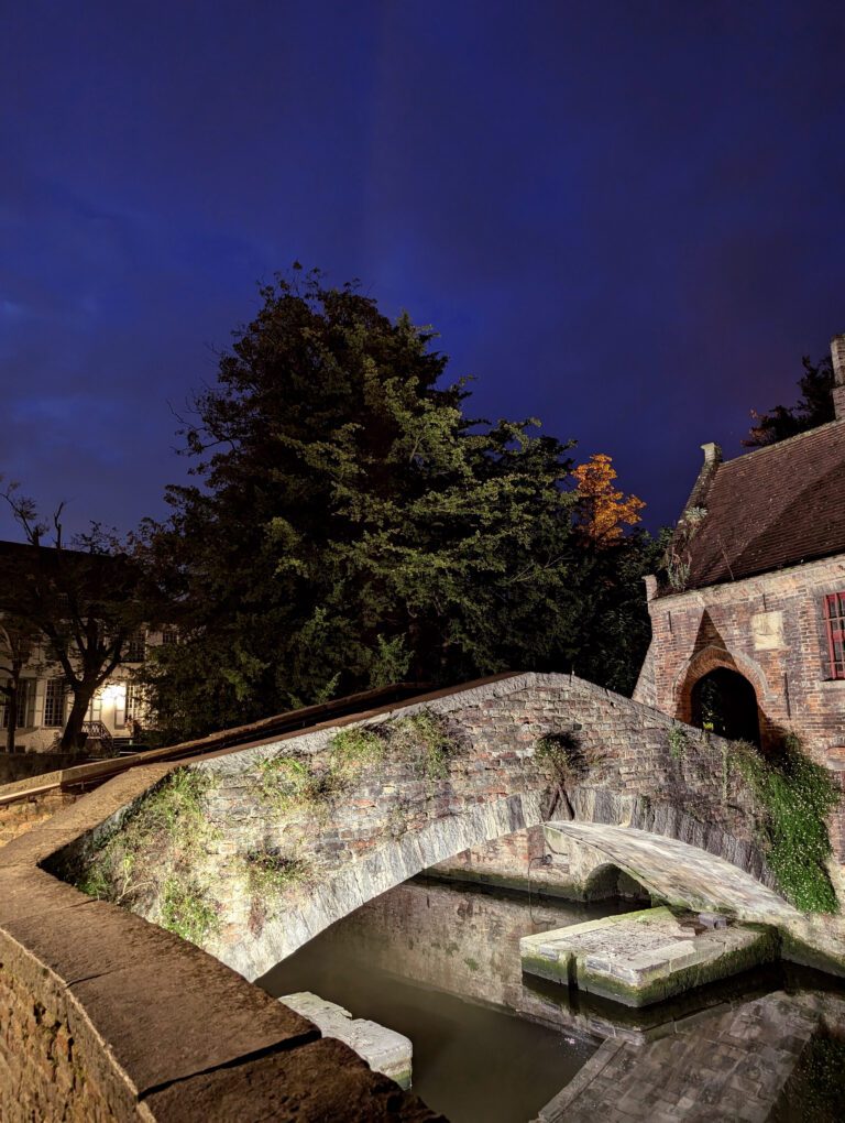 Vue de nuit à Nuit Blanche à Bruges