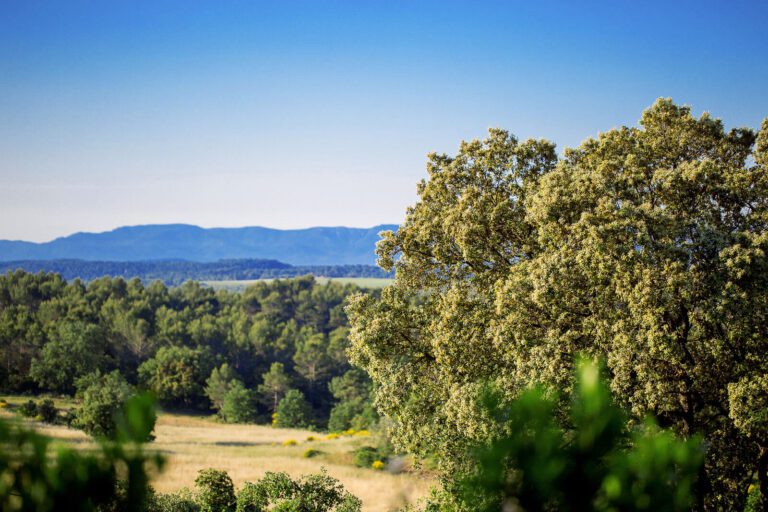 au Domaine Monte Verdi en Provence