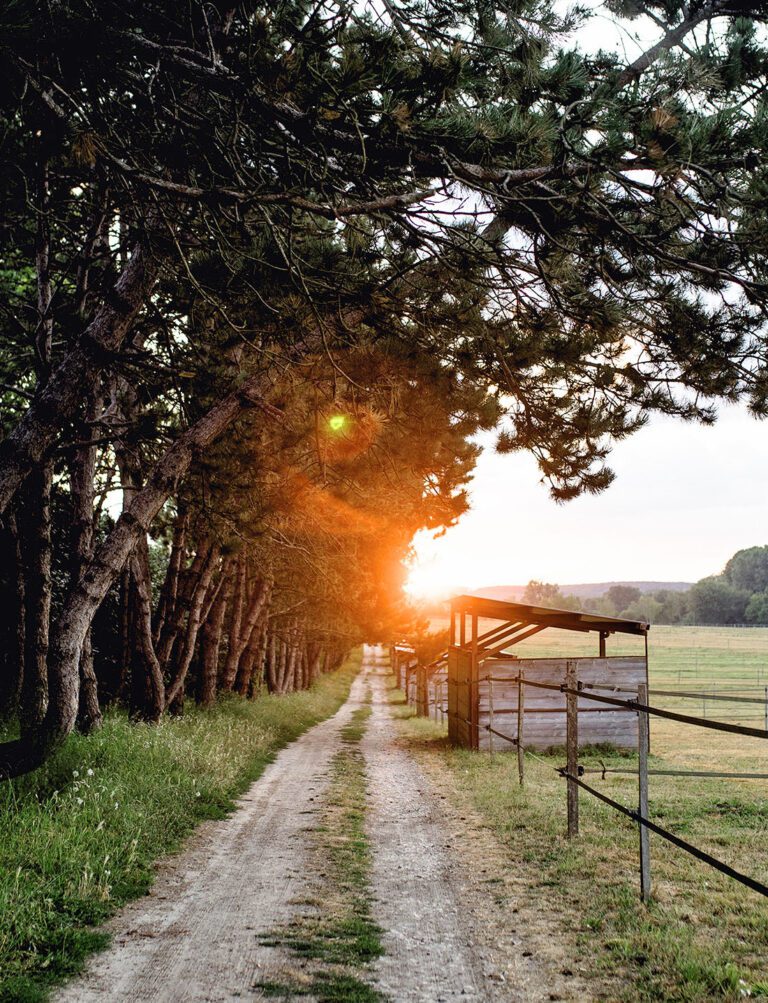 Chemin au Barn près de Paris