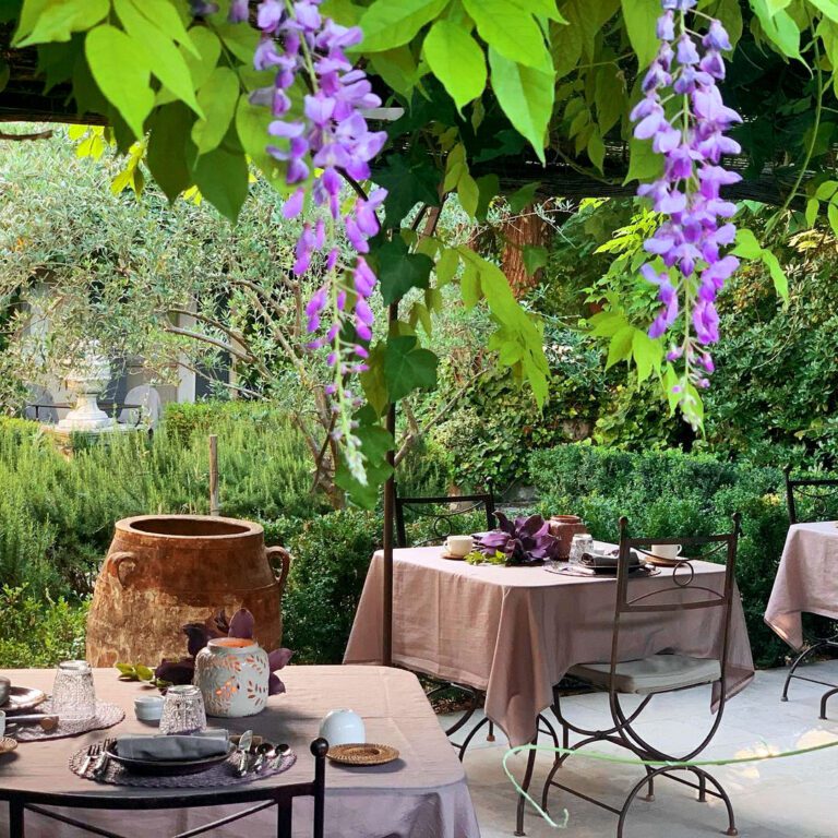 Vue sur les Agapanthes et la terrasse de Clos les Eydins dans le Luberon