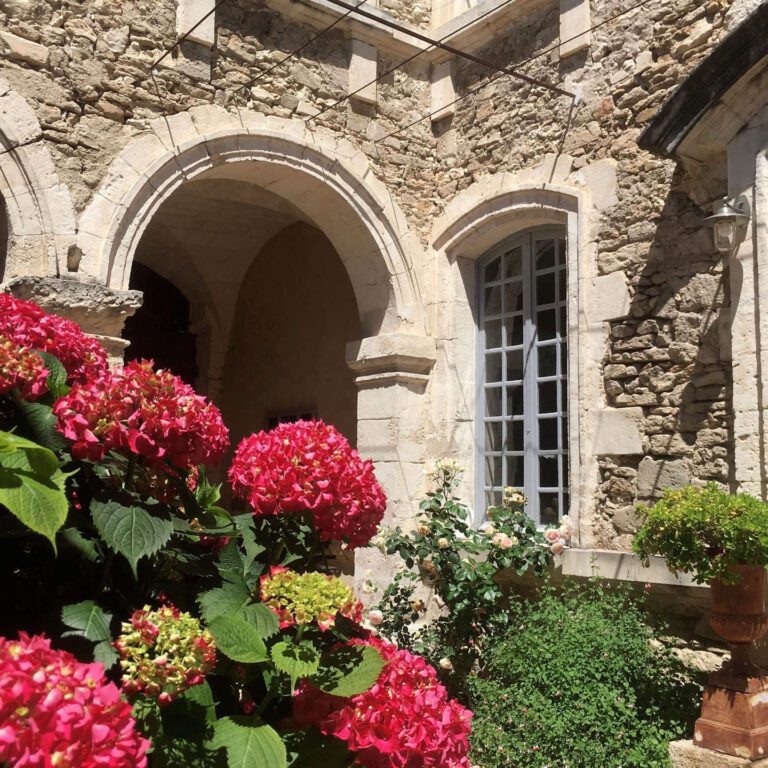 Fleurs du jardin au Posterlon près D'Avignon