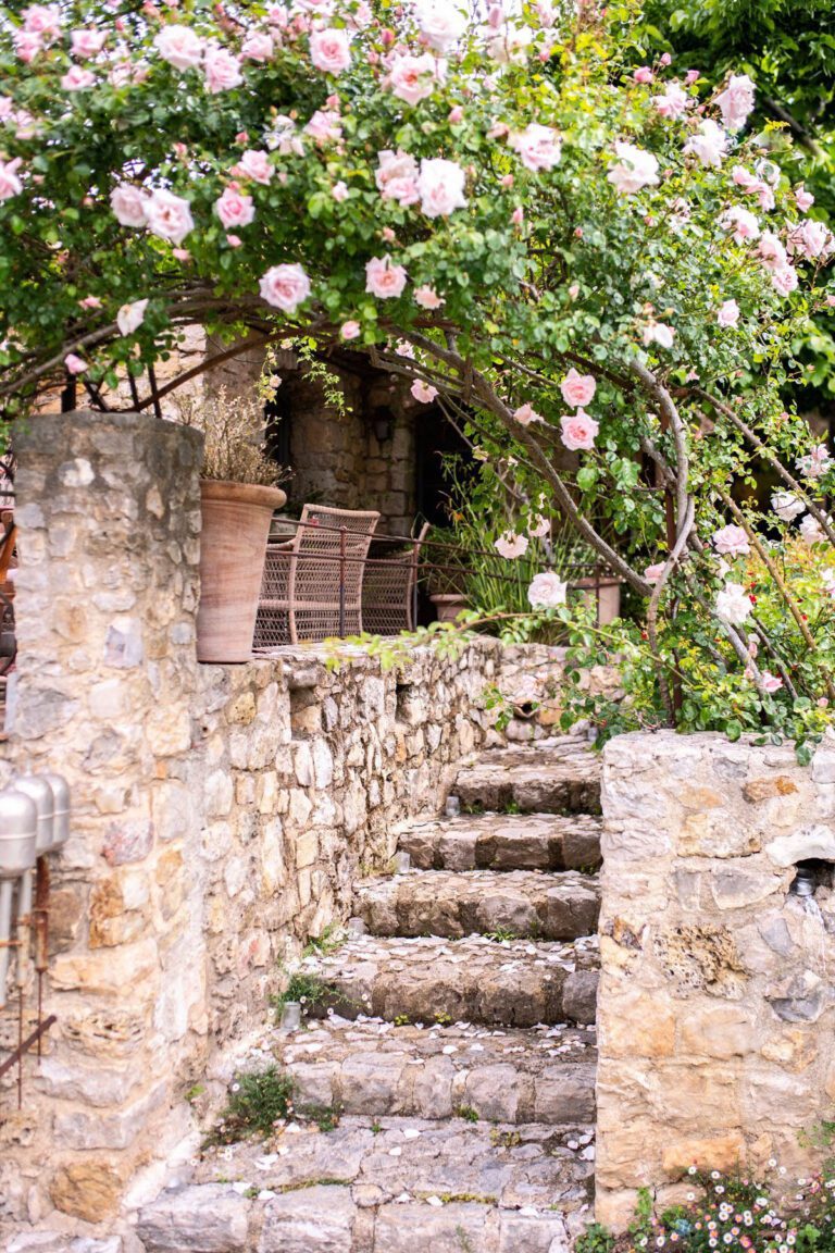 Roses u B&B Les Rosées en Provence