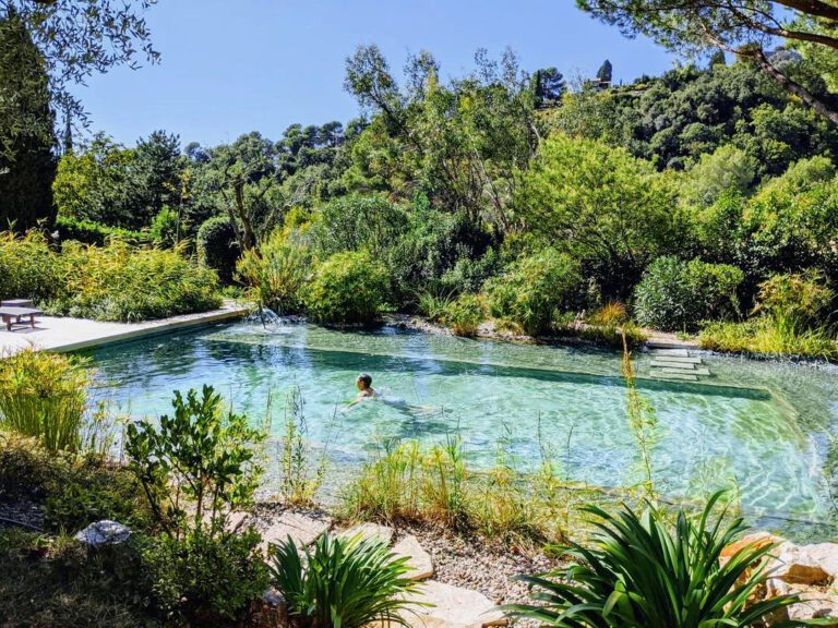 Piscine naturelle à Orion Tree Houses en Provence