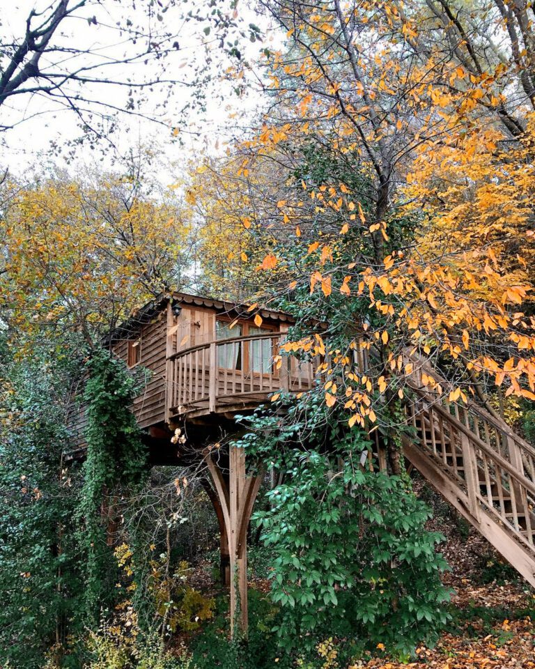 Cabane en automne à Orion Tree Houses en Provence