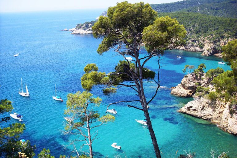 Alentours du Splendid Hôtel Bandol