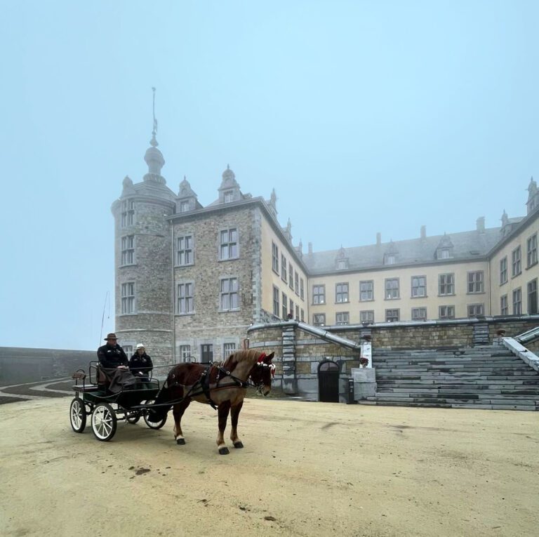 Brume sur le Château de Mirwart près de Rochefort