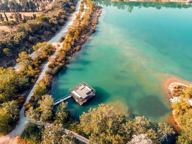 Cabane sur pilotis à Coucoo Grands Cépages près d'Avignon en Provence