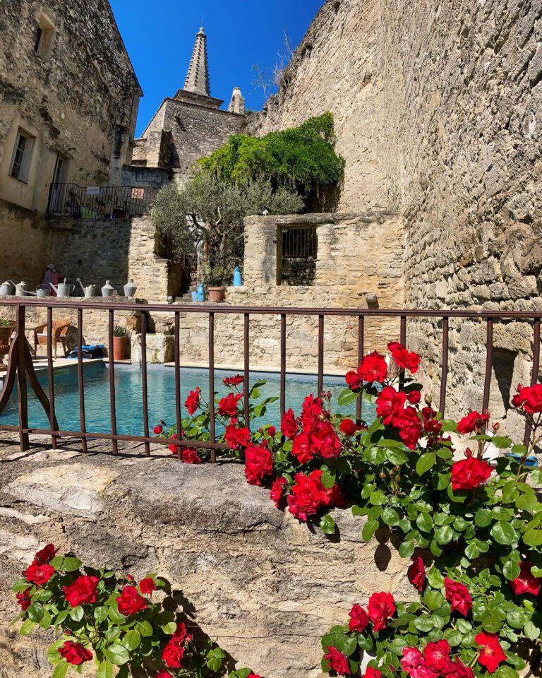 Roses au Posterlon près D'Avignon