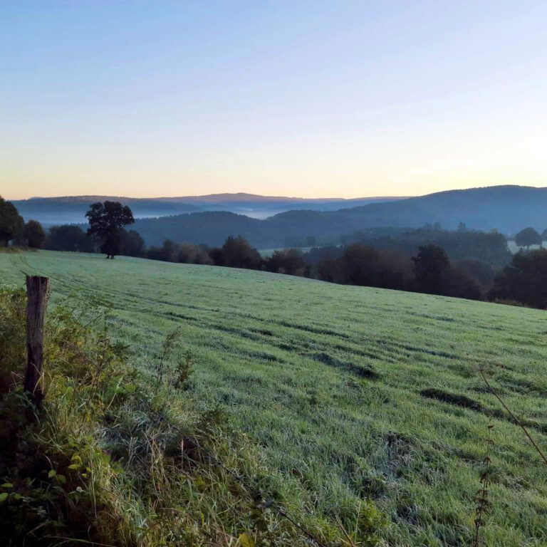 Alentours aux Monts d'Aisne près de Durbuy