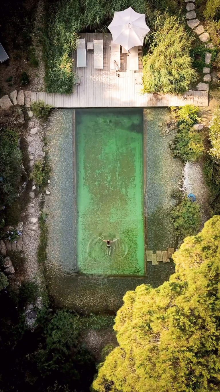 orion treehouses cover piscine vue du ciel