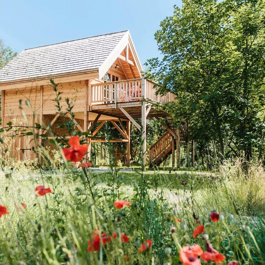 Coquelicots aux cabanes du Dauphiné à Gap