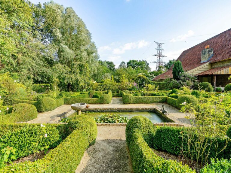 Bassin dans le jardin au B&B De Loverlij à Bruges