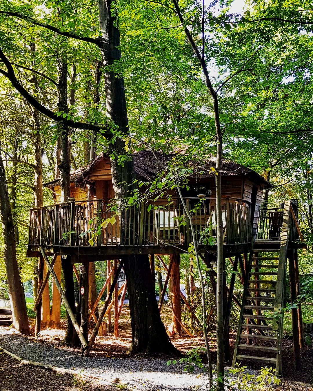 Cabane dans les arbres de la Cabane du Bois Dormant près de Spa