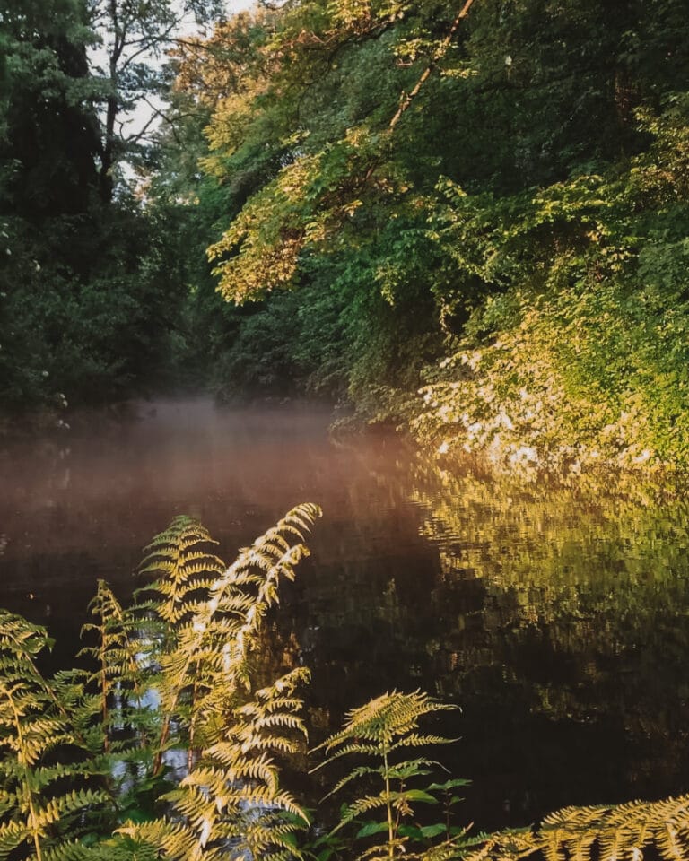 Vue sur la nature