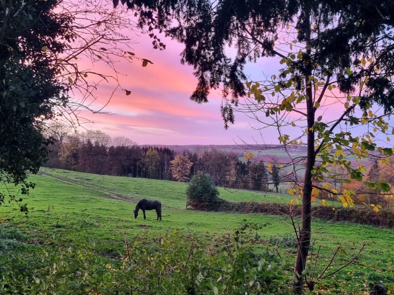 Coucher de soleil à Bulle de Miel à Gesves