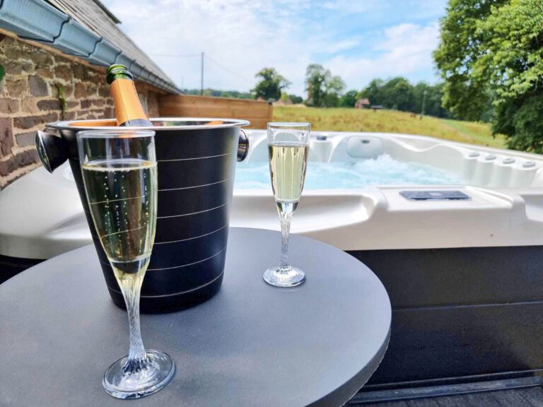 Champagne dans le jacuzzi à Bulle de Miel à Gesves