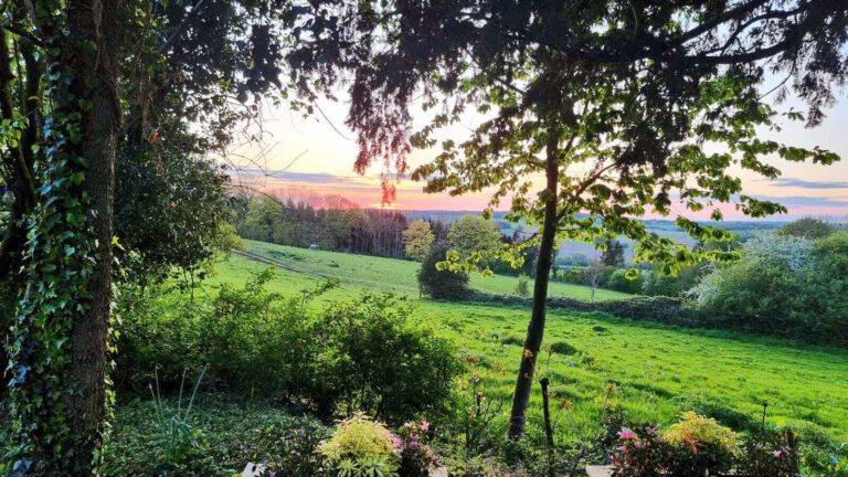 Vue depuis la bulle à Bulle de Miel à Gesves