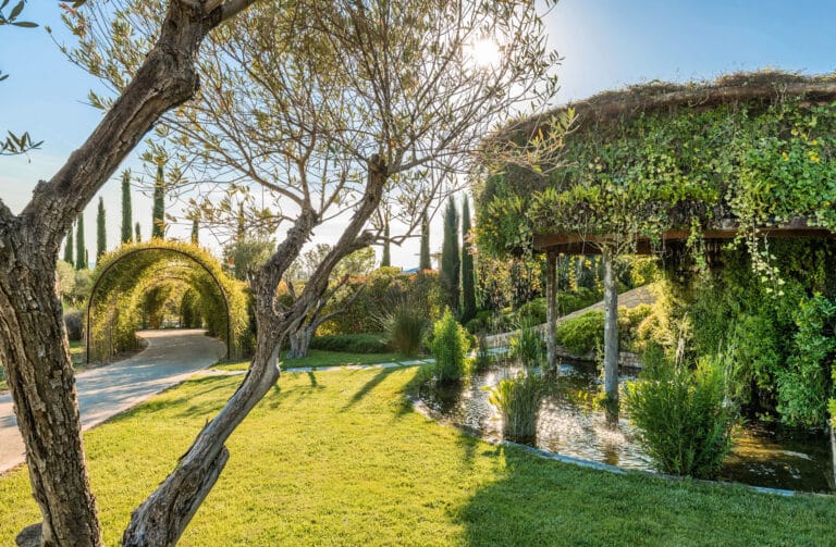 Jardin paradisiaque au domaine des Andéols près du Lubéron