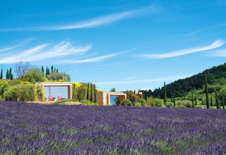 Lodges romantiques au domaine des Andéols près du Lubéron