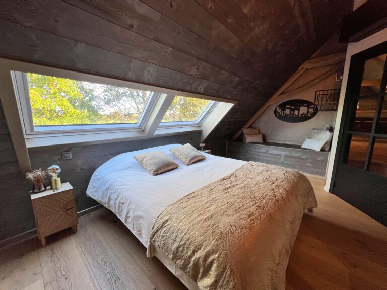 Chambre avec vue à Alter Ago à Tournai