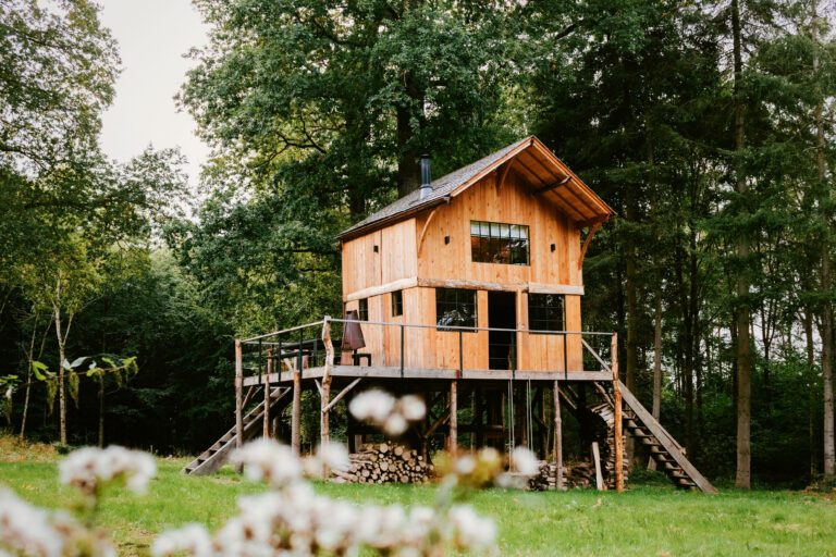 Écorces dans les Ardennes belges