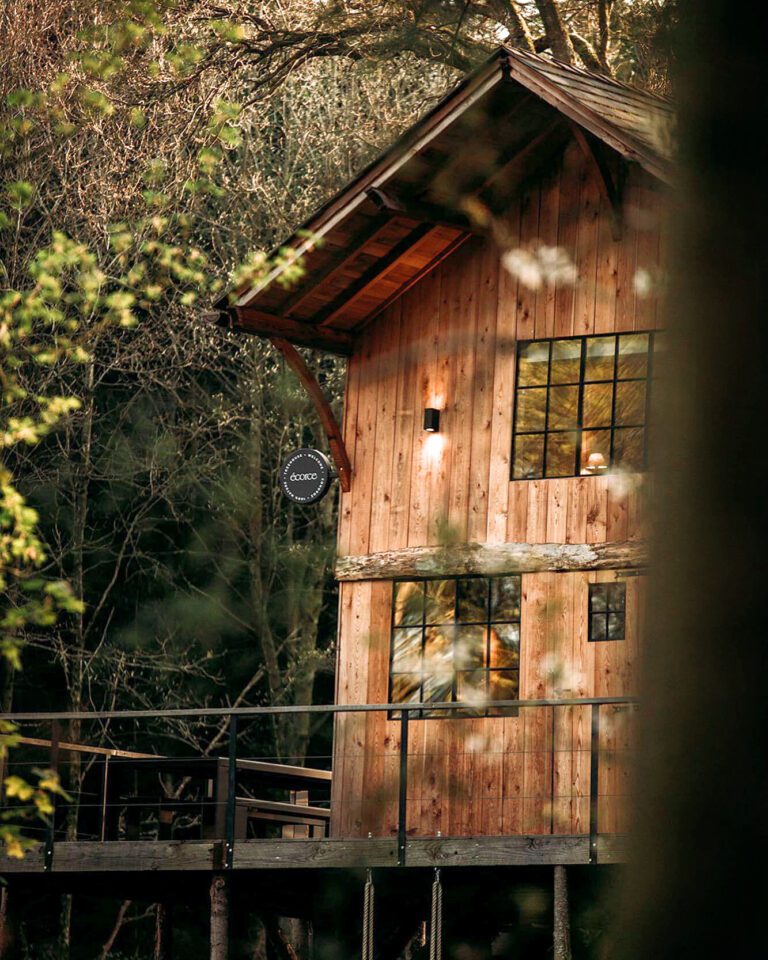 Balcon de la cabane Écorces dans les Ardennes belges