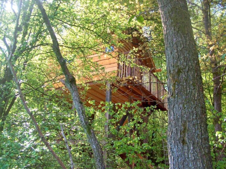 Cabane Rêve d'Eau à Rêve d'Eau près de Charleroi