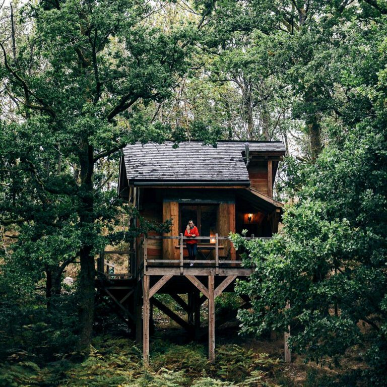 mon lit dans larbre cabane privative arlon insolite 10