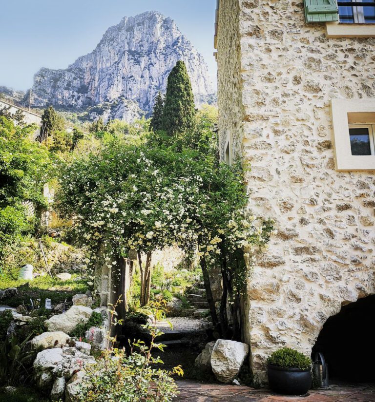 Vue sur la montagne au Moulin de Camoula en Provence