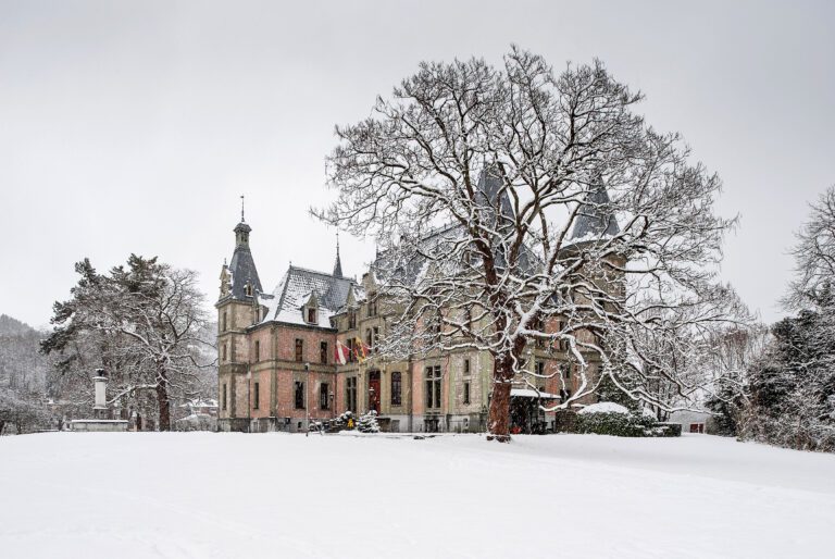 Schloss Schadau sous la neige à Thoune en Suisse