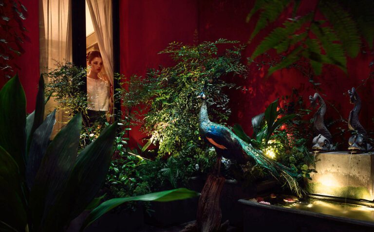 Jardin à l'Hôtel Bourg Tibourg à Paris