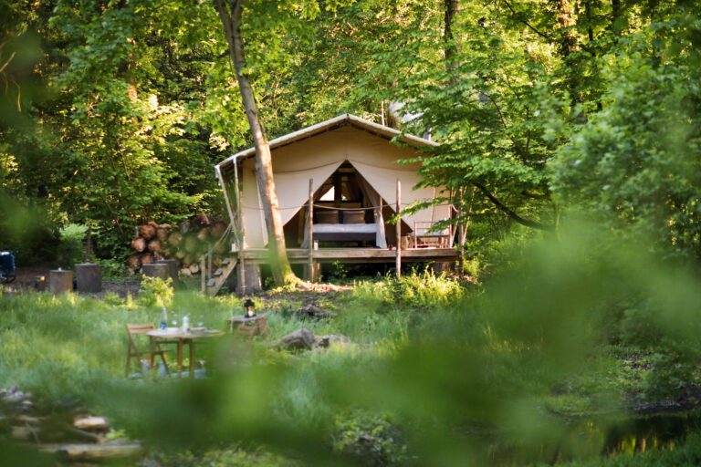 Tente dans la forêt à Lakhota Glamping