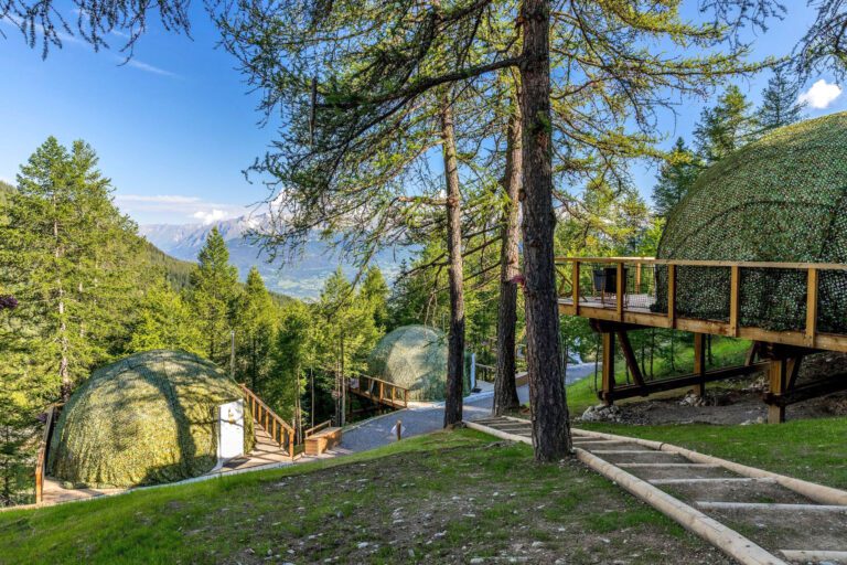 D'Hômes dans la forêt à Alpin d'Hôme près des Orres