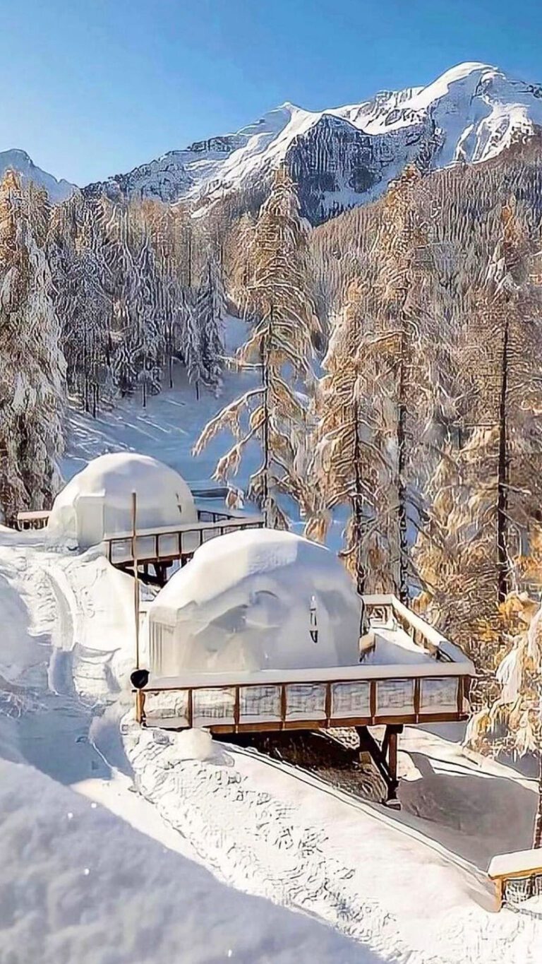 alpin dhome cover neige