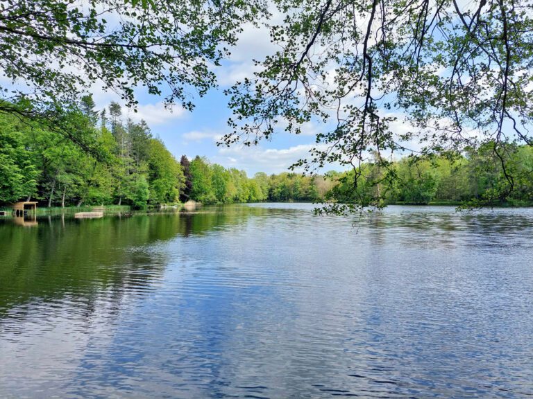 Vue depuis la cabane de La Cabane sur l'Eau près de Couvin