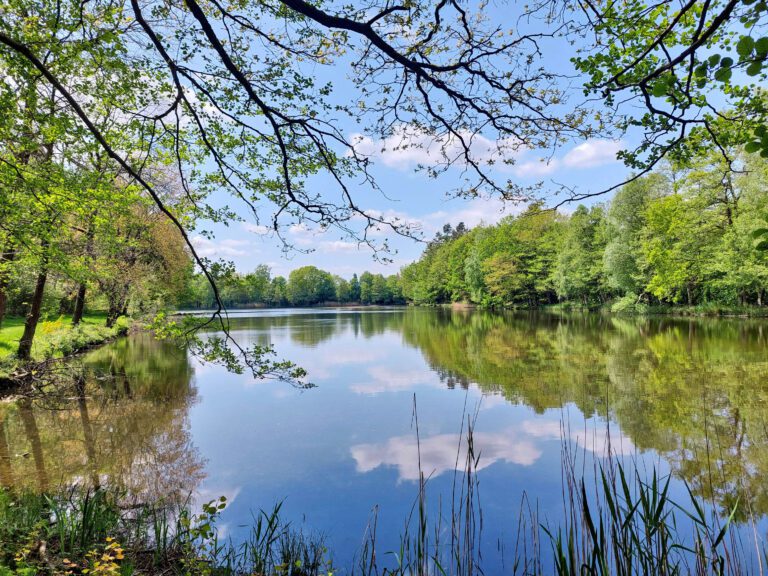 Lac près de la cabane de La Cabane sur l'Eau près de Couvin