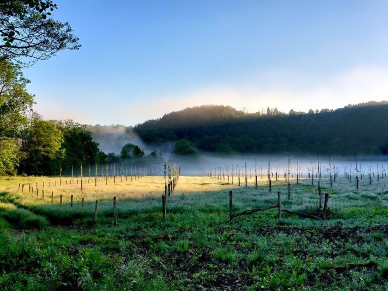 Alentours de la ferme au Petit Bomal près de Durbuy