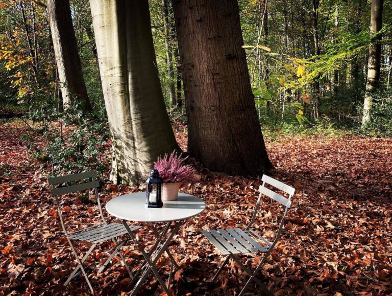 Automne au Dôme de Namur