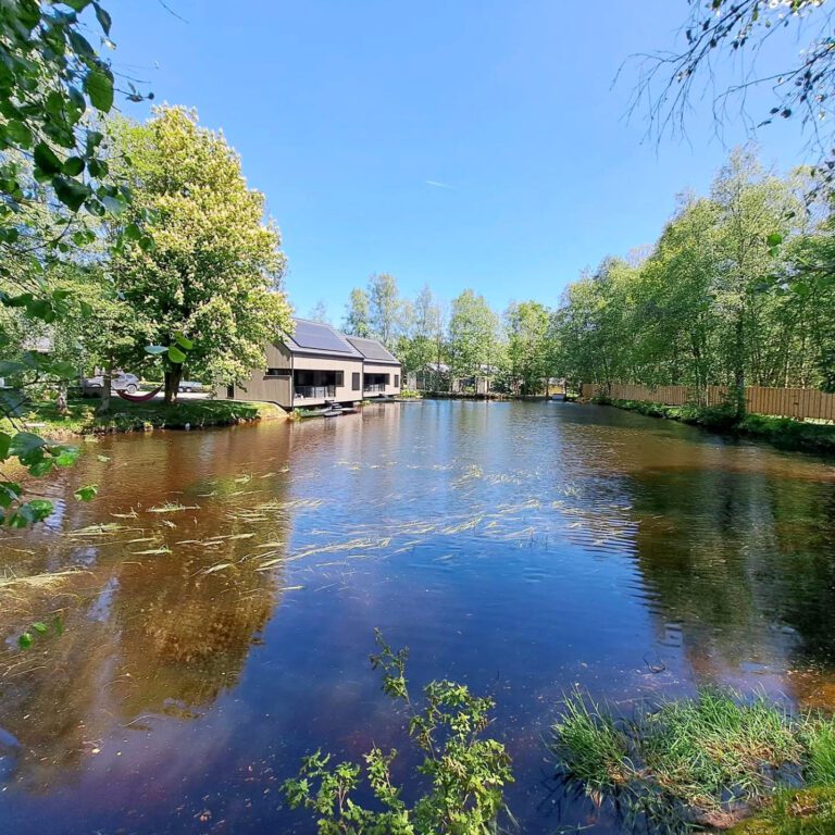 Domaine de Wood and Lakes à Waimes