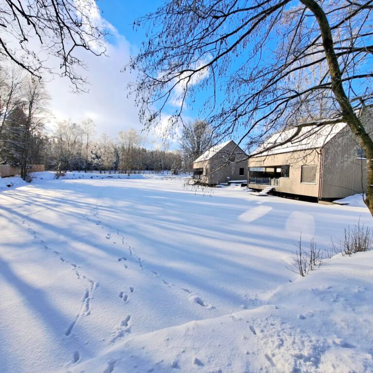 Cabanes sous la neige à Wood and Lakes à Waimes