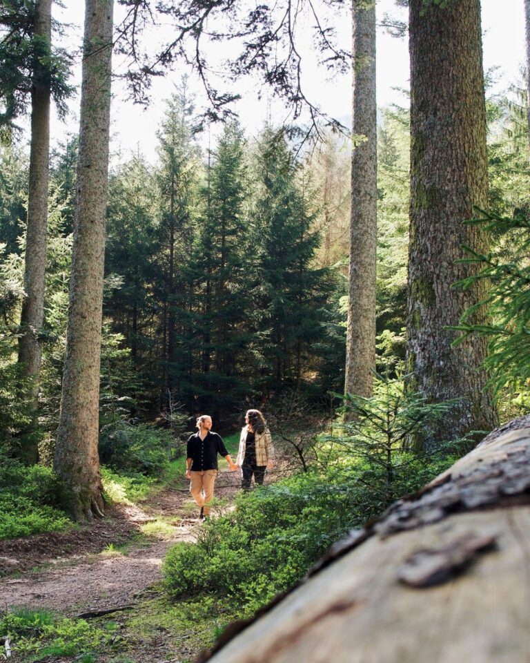 Balade en amoureux aux cabanes Nutchel dans les Ardennes