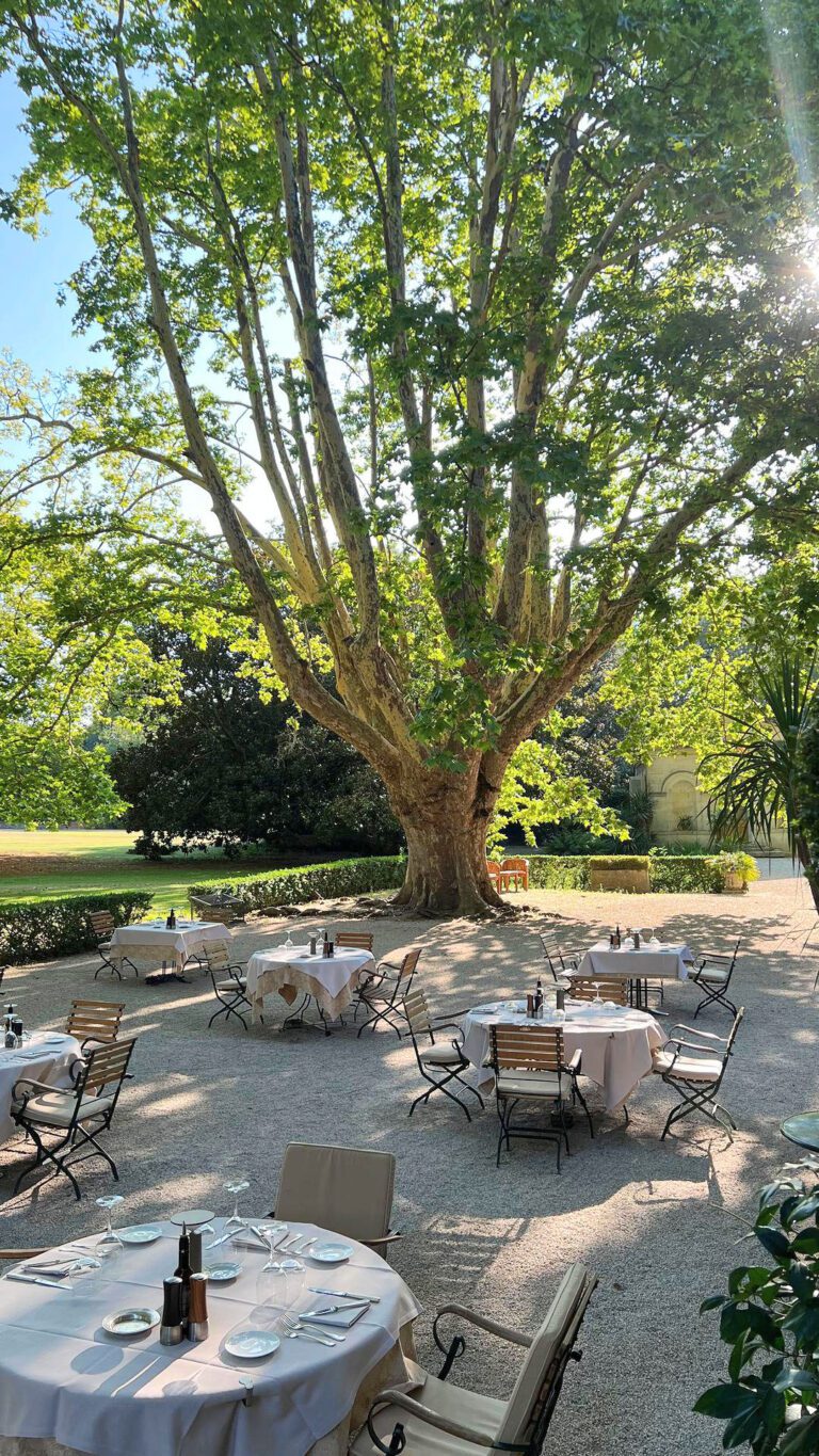 chateau des alpilles cover cour