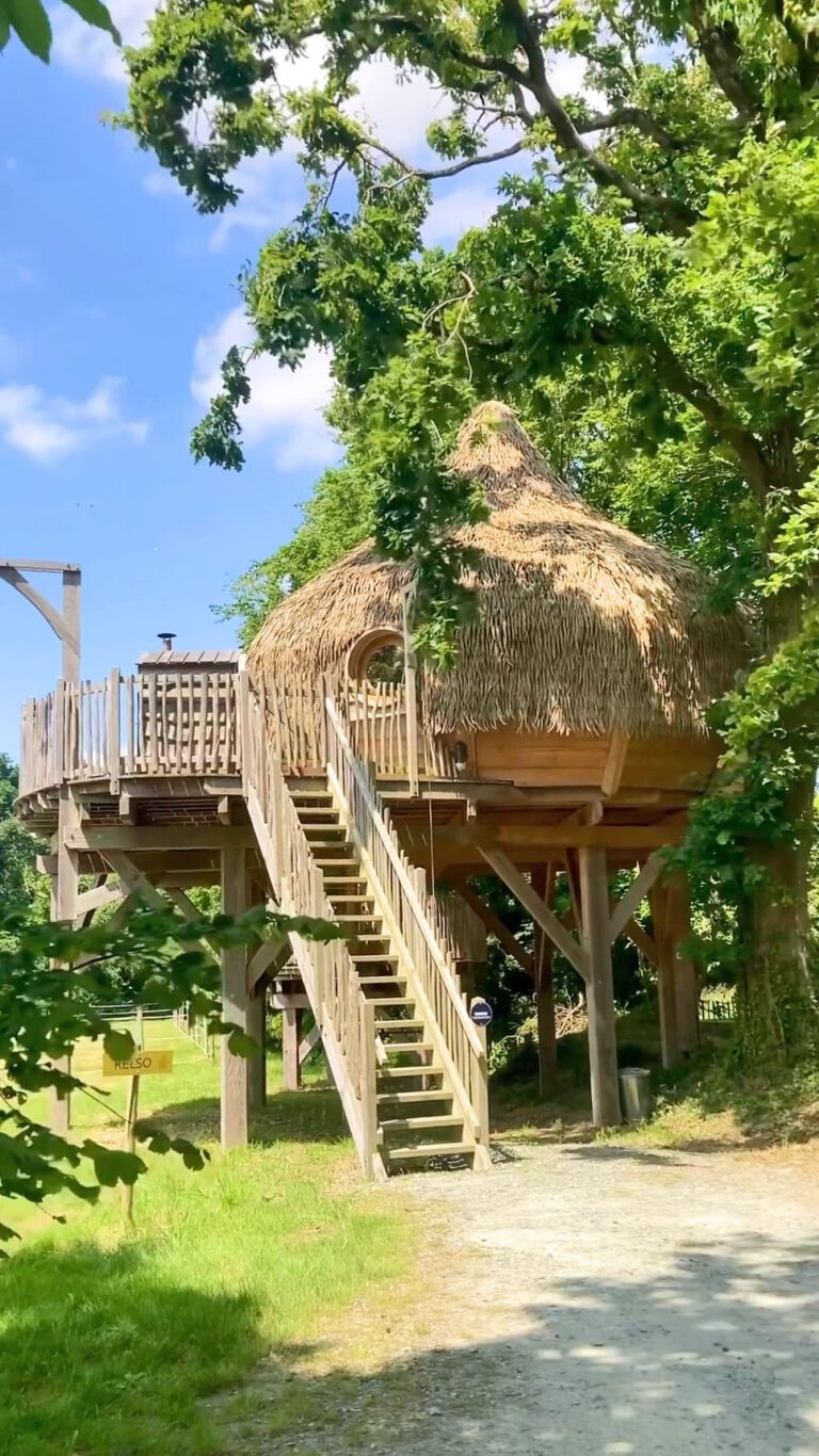 domaine du treuscoat cover cabane