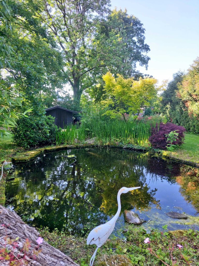 Étang au Spa du Cabanon à Marche en Famenne
