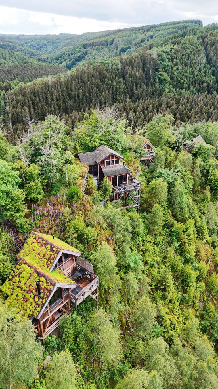 Cabanes vue du ciel aux Cabanes de Rensiwez à Houffalize