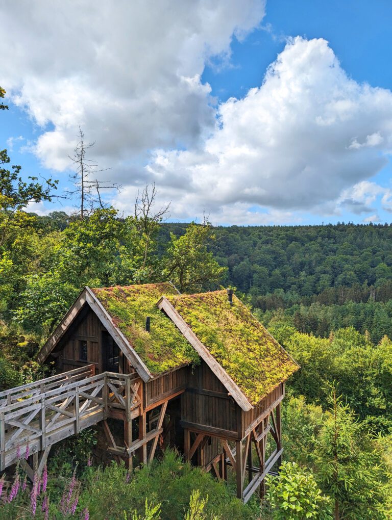 Cabane au sommet de la colline aux Cabanes de Rensiwez à Houffalize